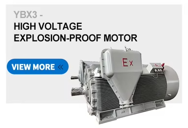 High Voltage Explosion Proof Motor